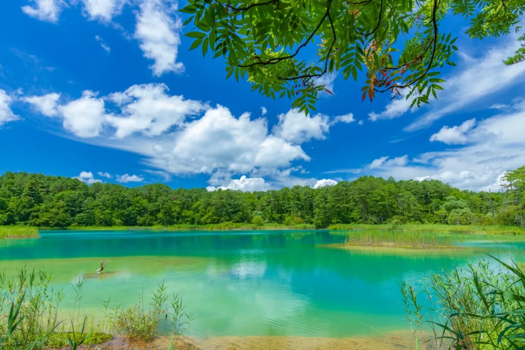 福島県のおすすめデートスポット「五色沼湖沼群」