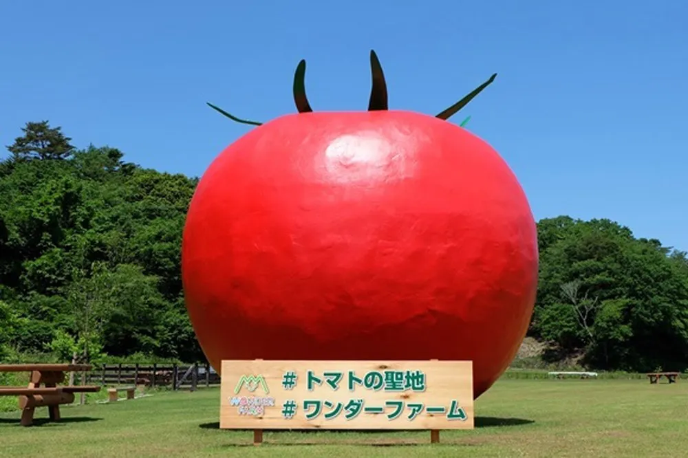 福島県いわき市にある「ワンダーファーム」