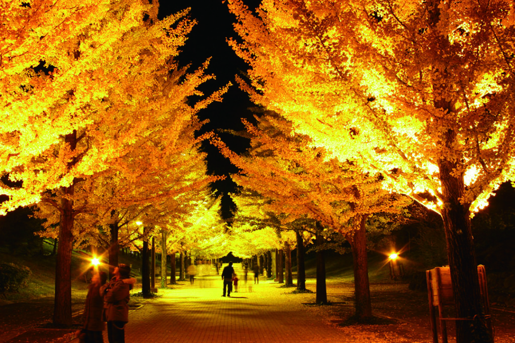 福島市のおすすめデートスポット「あづま総合運動公園」