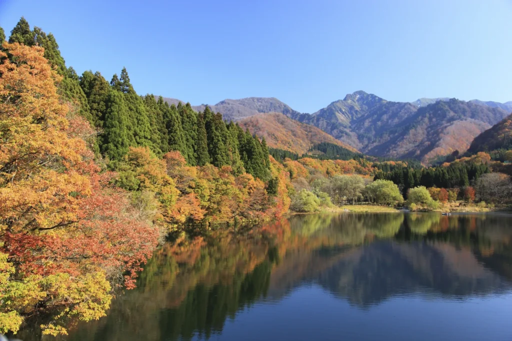 紅葉に包まれた森が湖面に映る様子