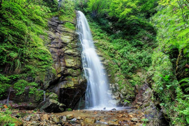 森の中にある勢いよく流れる滝