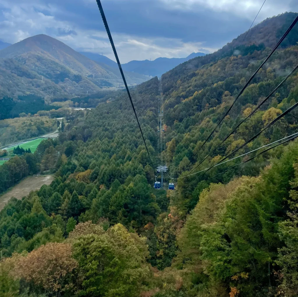 ゴンドラの中から近くの森を見ている様子