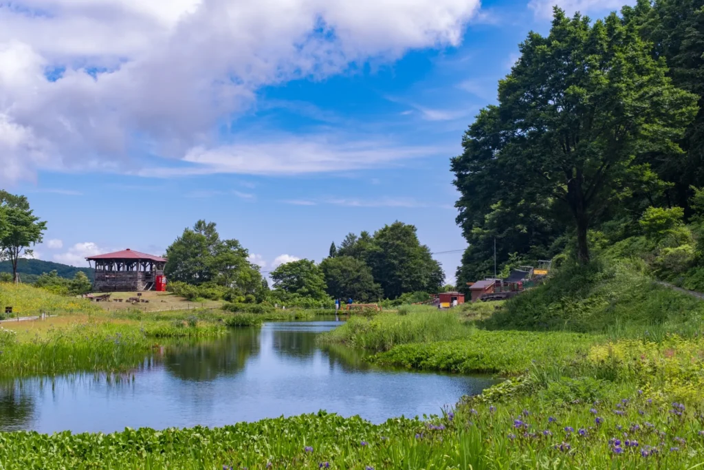 越後湯沢パノラマパーク内にある湿地の風景