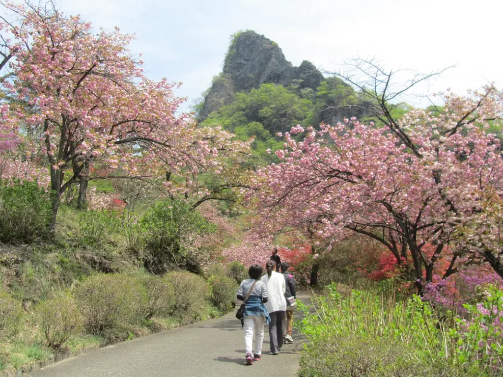 県立森林公園さくらの里