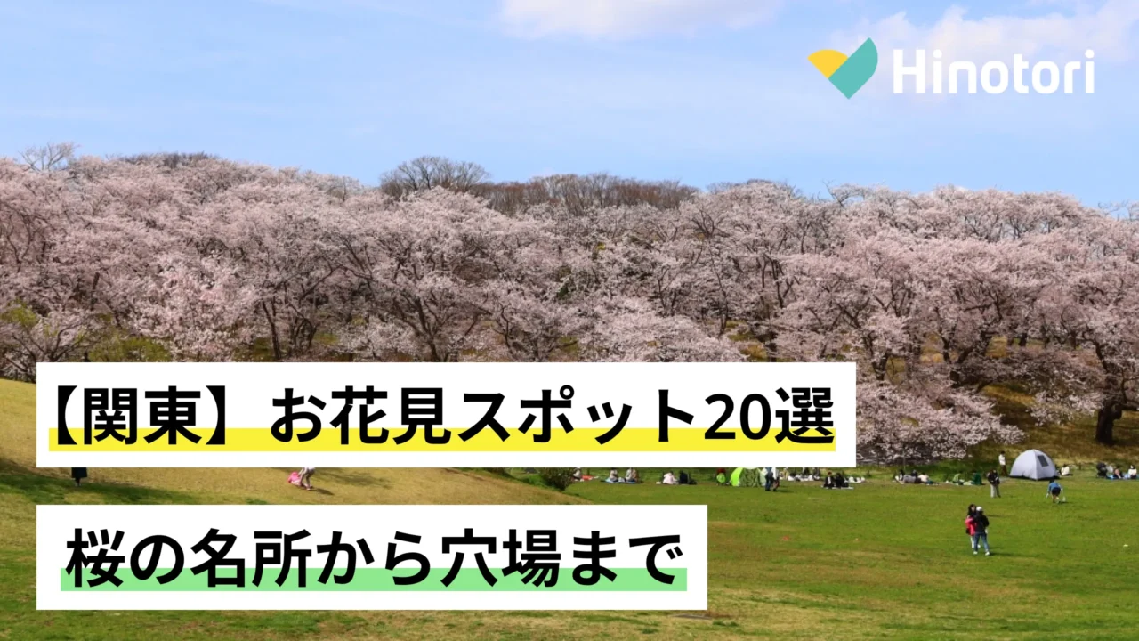 根岸森林公園の桜