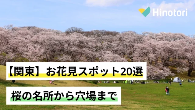 根岸森林公園の桜