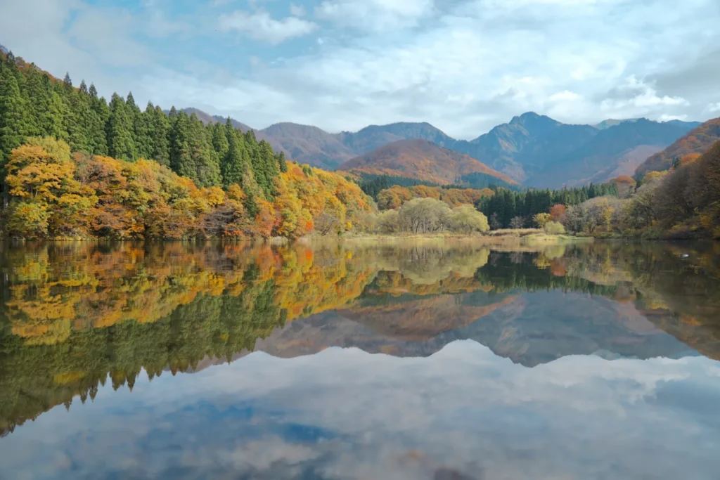 大源太湖の自然