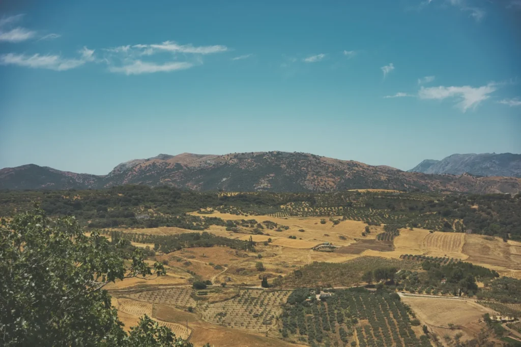 山から見下ろす畑の広がる農村