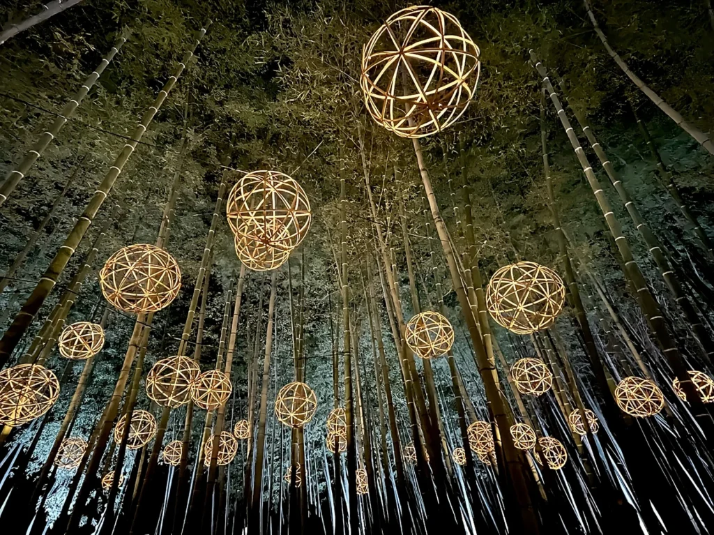 たがみバンブーブーのライトアップ