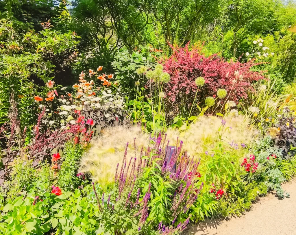 みつけイングリッシュガーデンのお花