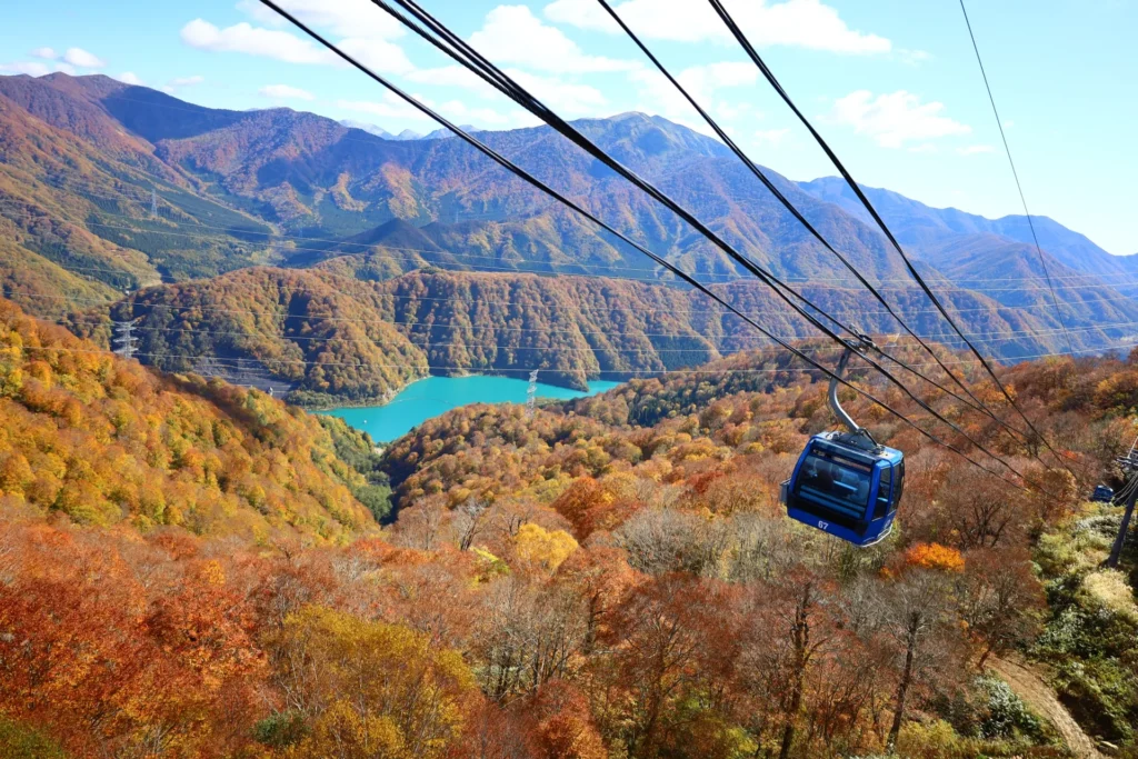 苗場ドラゴンドラの景色と紅葉