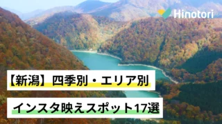 苗場ドラゴンドラからの景色
