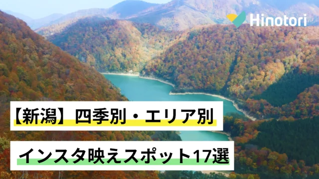 苗場ドラゴンドラからの景色