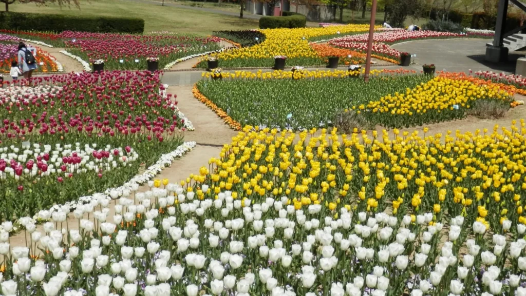 新潟県「道の駅 新潟ふるさと村」