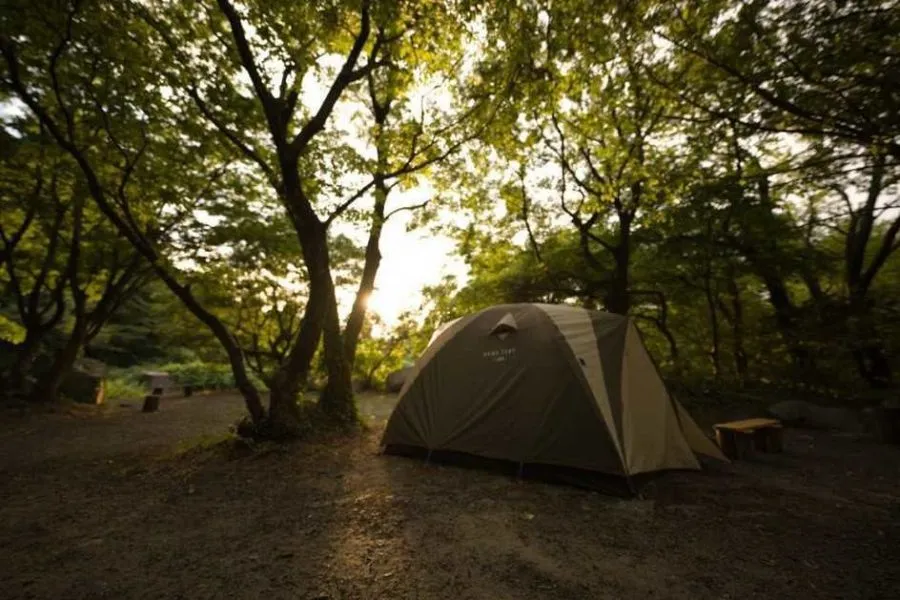 新潟県の五頭山麓いこいの森