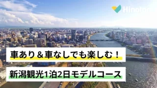 展望台から見た新潟市街地の景色