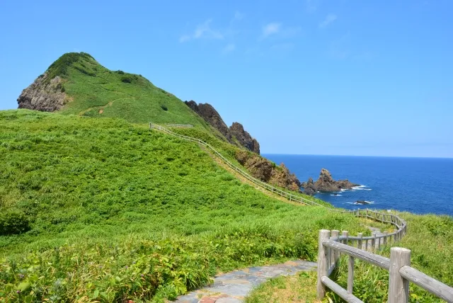 新潟　大野亀　自然　観光スポット