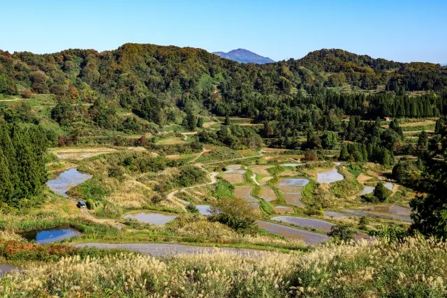 新潟　棚田　絶景