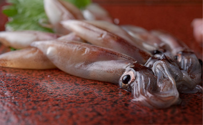 赤い皿に乗せられたイカ