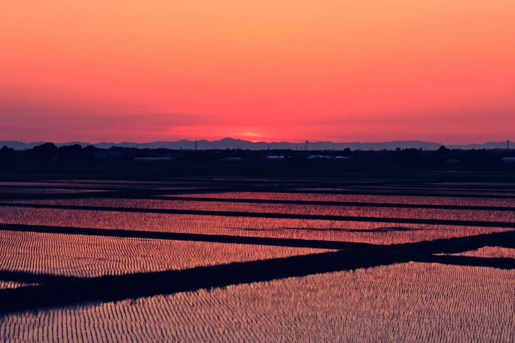 夕暮れ時の棚田に映る空
