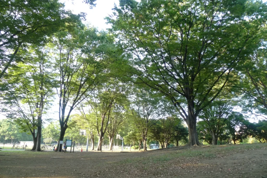 赤塚公園の広場