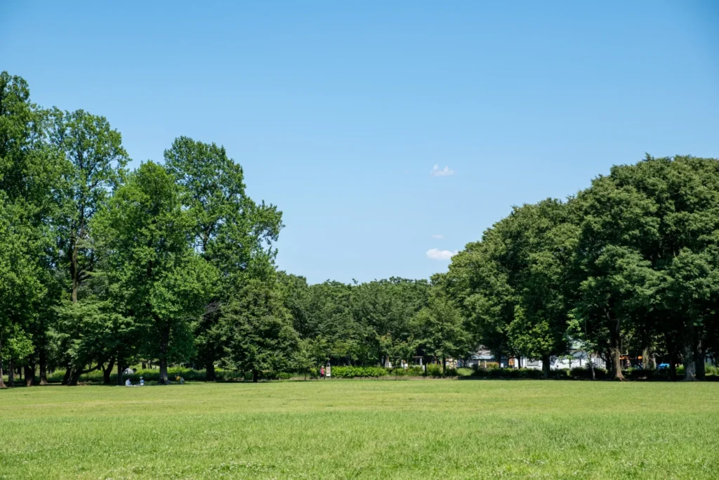 小金井公園の緑の芝生