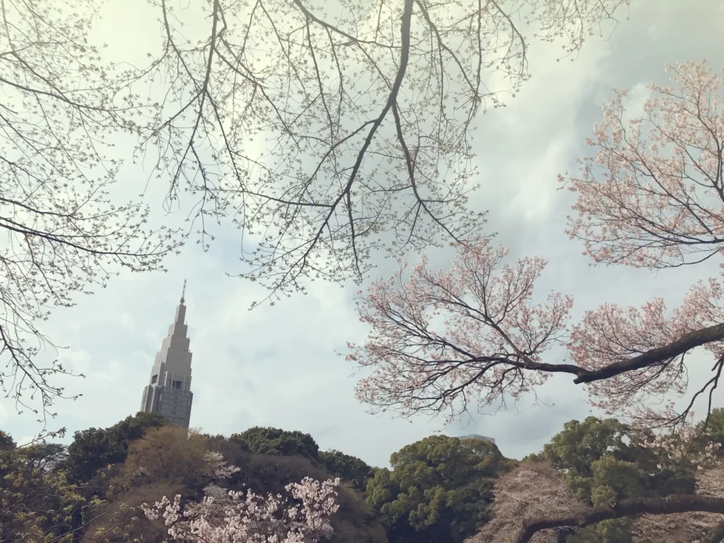 東京都でピクニックを楽しめる公園「新宿御苑」