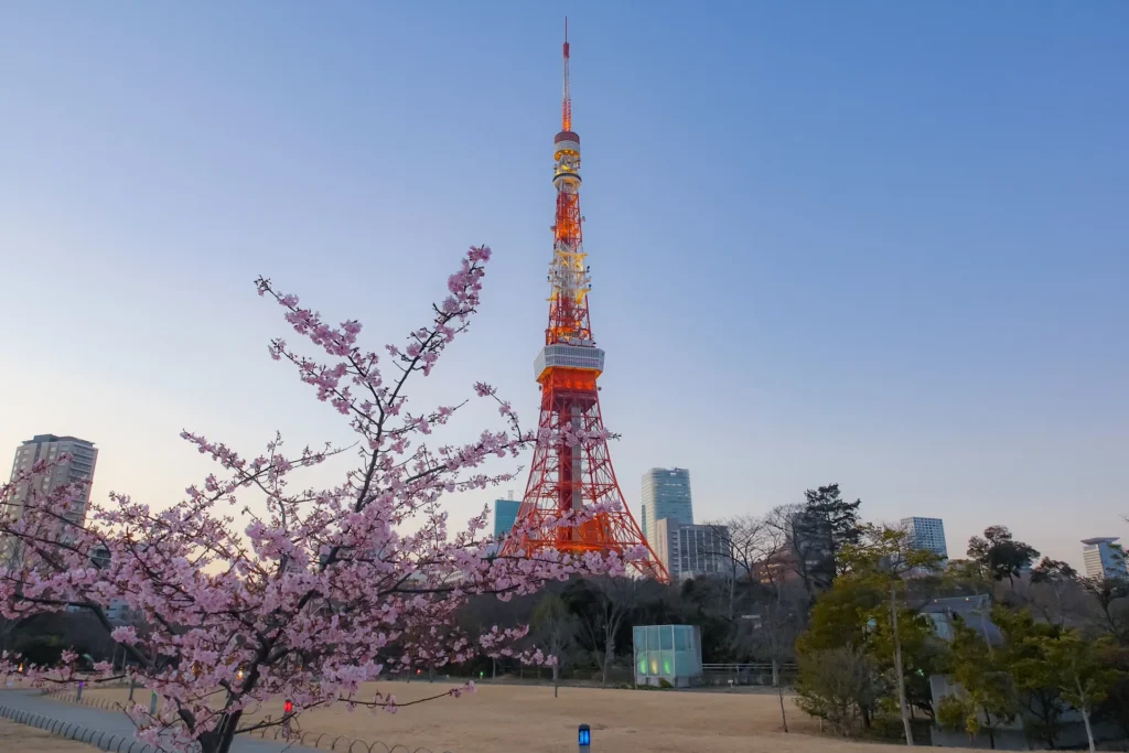芝公園の東京タワーと花