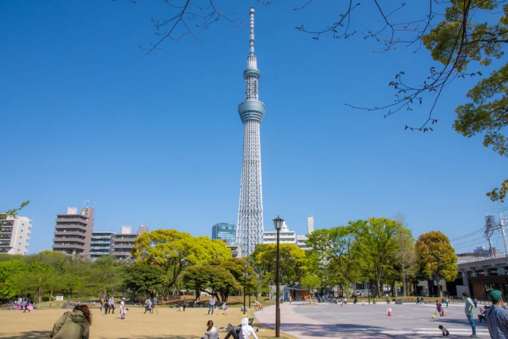 隅田公園から見るスカイツリー