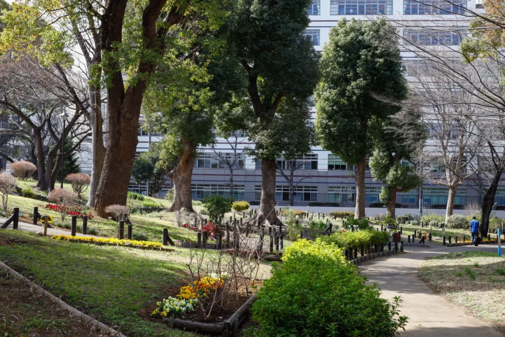 戸山公園の自然