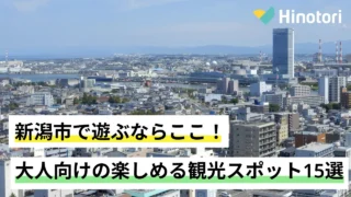高台から新潟市を一望した様子
